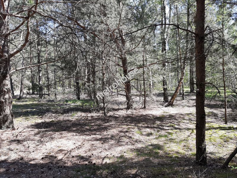 Działka na sprzedaż, Bialski, Wólka Kościeniewicka
