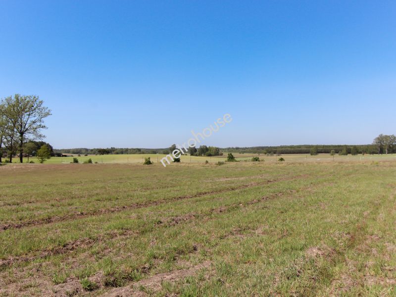 Działka na sprzedaż, Szczecinecki, Spore