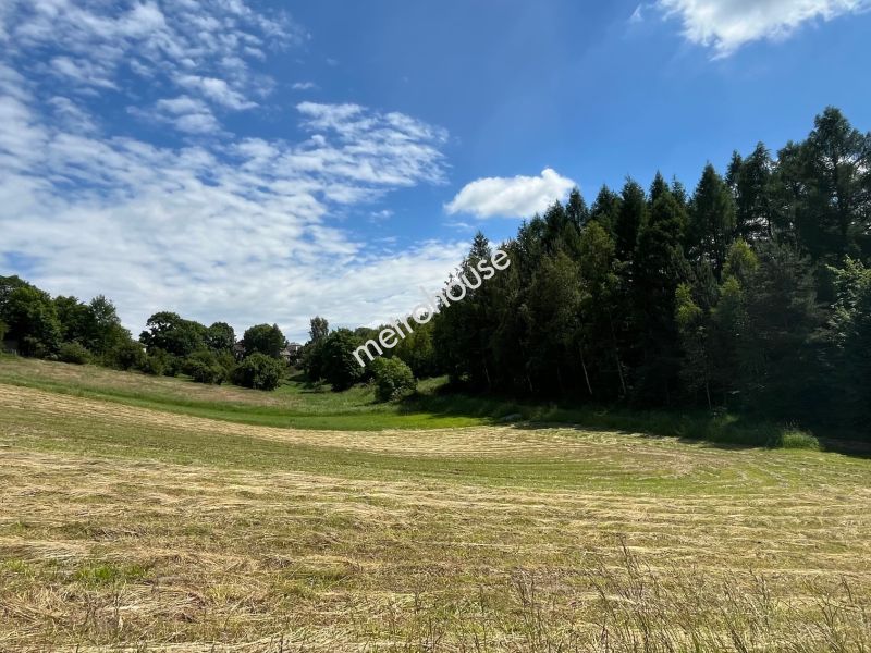 Dom na sprzedaż, Olkuski, Gorenice