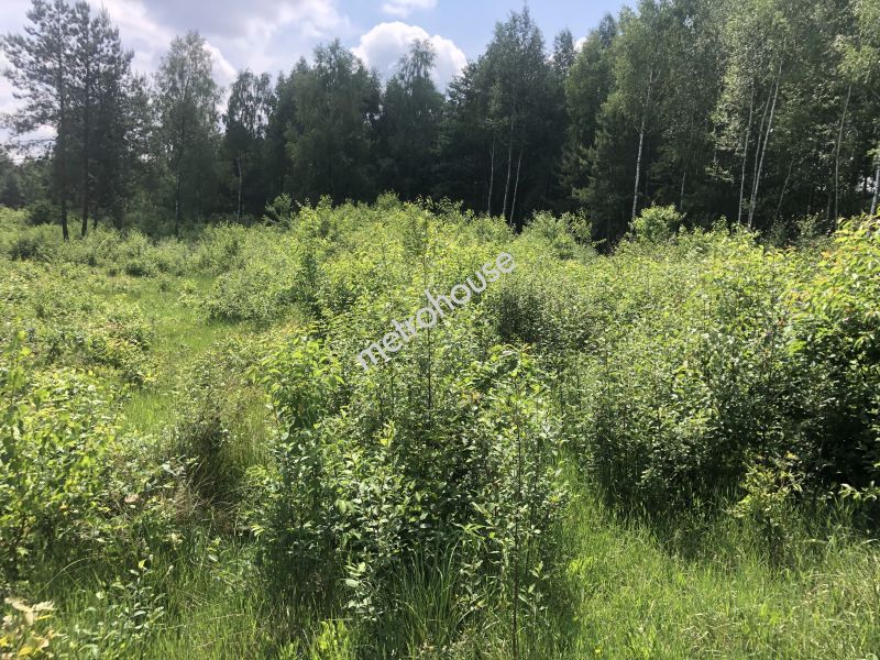 Działka na sprzedaż, Piotrkowski, Młoszów