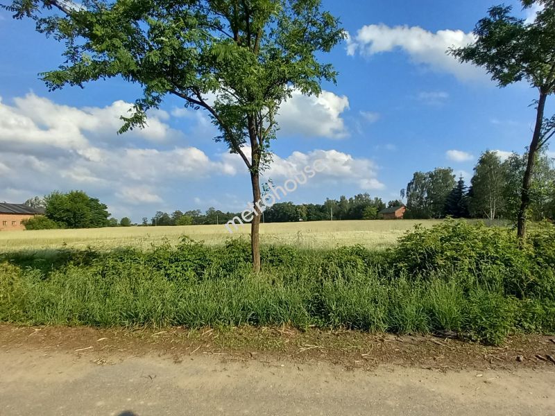 Działka na sprzedaż, Zduńskowolski, Lichawa, Kolonia Lichawa