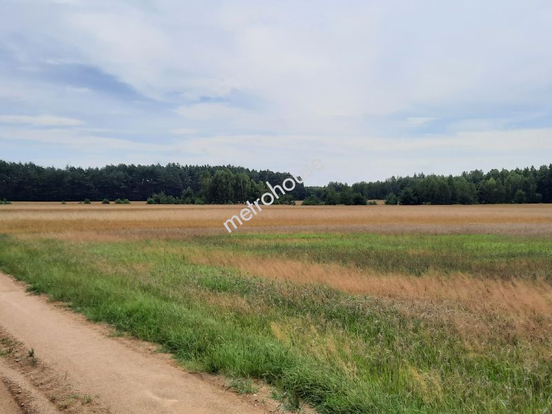 Działka na sprzedaż, Siedlecki, Żeliszew Podkościelny