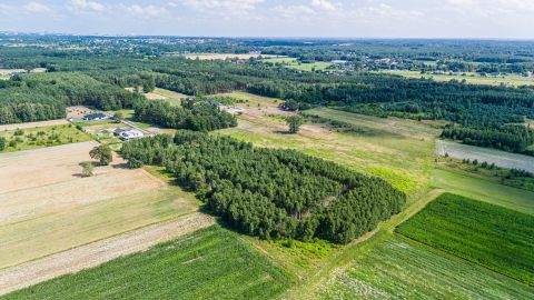 Sprzedaż Działka Herbaciana, Ruda-Bugaj, pow. zgierski