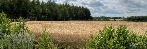 Sprzedaż Działka Karwacz, pow. przasnyski