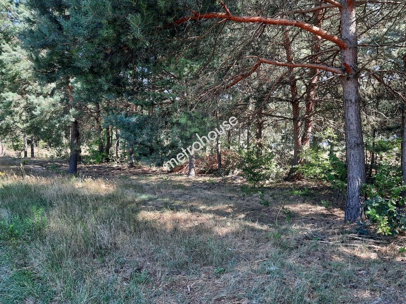 Działka na sprzedaż, żyrardowski, Adamów-Wieś, Granica