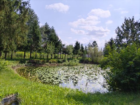 Sprzedaż Działka Kranów, pow. kielecki