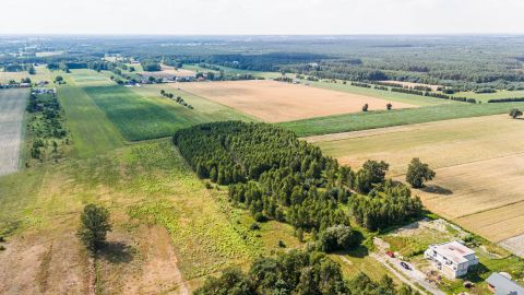 Sprzedaż Działka Herbaciana, Ruda-Bugaj, pow. zgierski