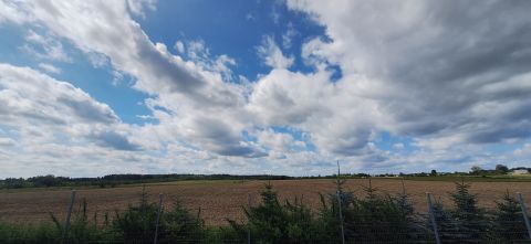 Sprzedaż Działka Wiączyńska, Widzew, Łódź