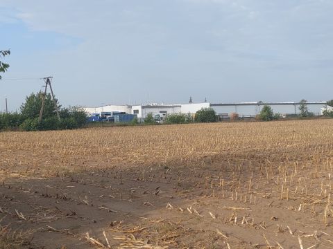 Sprzedaż Działka Warszawska, Głogowo, pow. toruński
