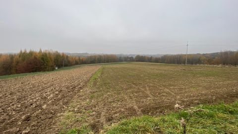 Sprzedaż Działka Grudki, Woźniki, pow. wadowicki
