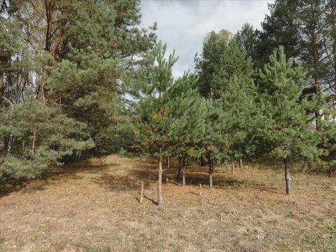 Sprzedaż Działka Spacerowa, Iły, pow. wołomiński