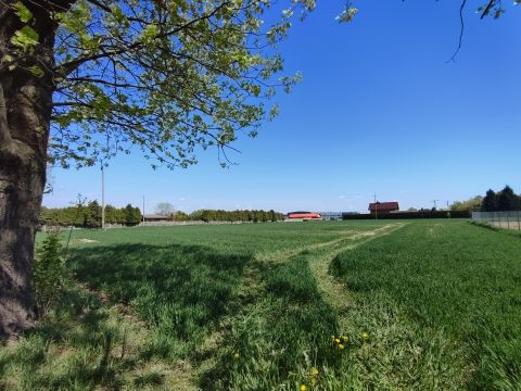 Sprzedaż Działka Jastrzębska, Gogołowa, pow. wodzisławski