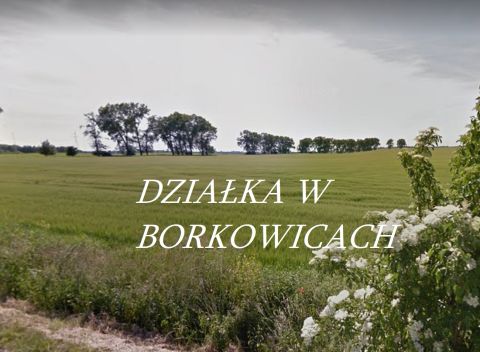 Sprzedaż Działka Borkowice, pow. poznański
