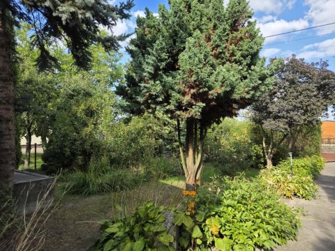 Sprzedaż Dom Żakowola Radzyńska, pow. radzyński