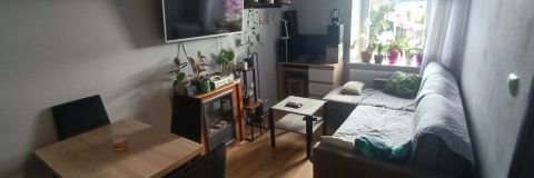 Sprzedaż Mieszkanie Główna, Marciszów, pow. kamiennogórski