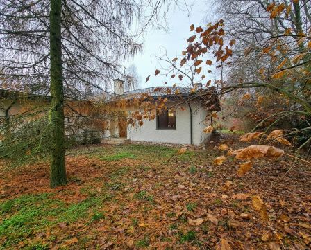 Sprzedaż Działka Młodocin Większy, pow. radomski