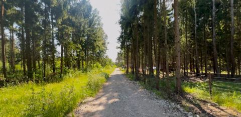 Sprzedaż Działka Ojrzanów, pow. grodziski
