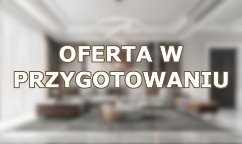 Wynajem Lokal handlowo-usługowy Piątkowo, Poznań