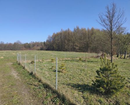 Sprzedaż Działka Cmentarna, Chruszczobród, pow. zawierciański