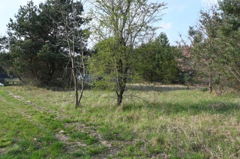 Sprzedaż Działka Promyka, Stary Adamów, pow. zgierski