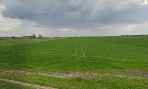 Sprzedaż Działka Kuślin, pow. nowotomyski