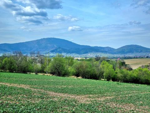 Sprzedaż Działka Szkolna, Pietrzykowice, pow. żywiecki